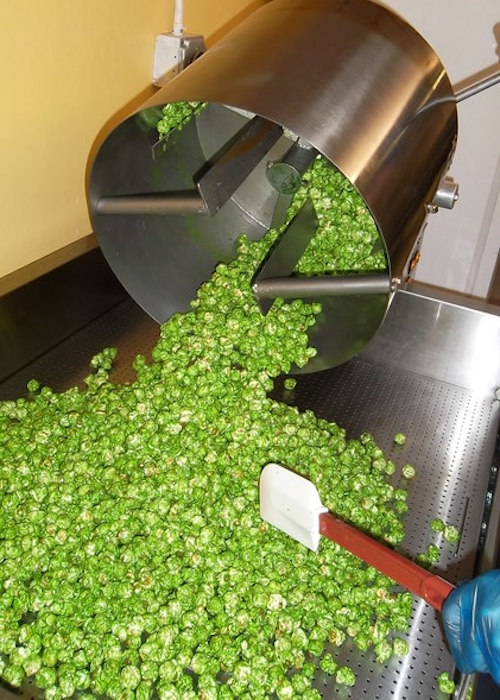 Sweet Apple popcorn being poured onto a cooling table