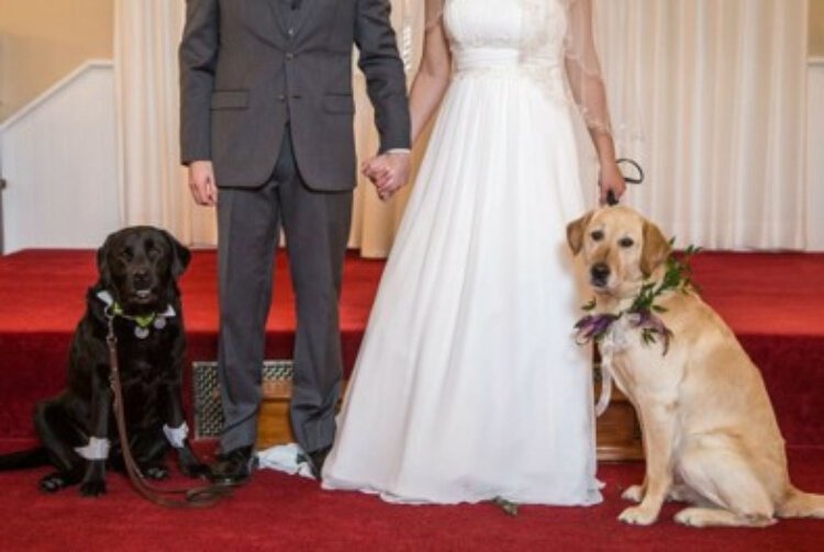 Megan and Andrew Howe incorporated their service dogs into their wedding ceremony.