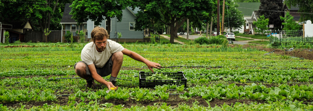 New City Urban Farm